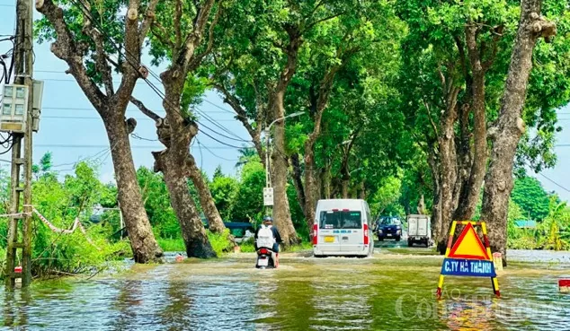 Xót xa làng hoa Tây Tựu sau bão Yagi