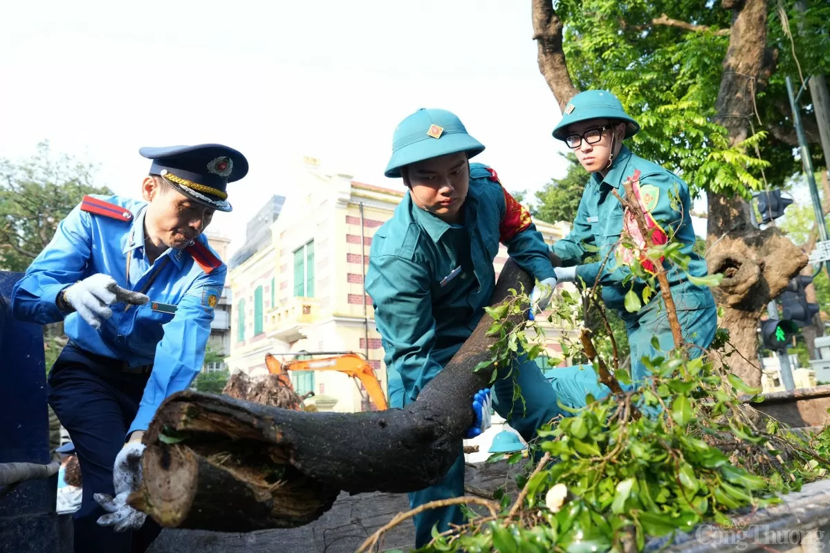 Hà Nội: Toàn dân tổng vệ sinh môi trường khắc phục hậu quả cơn bão số 3