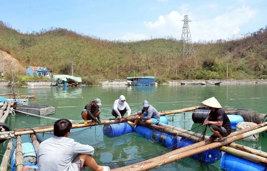 Doanh nghiệp thủy sản miền Bắc khôi phục thiệt hại nặng nề sau bão