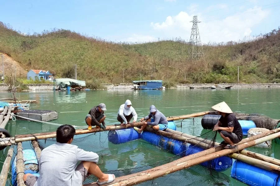 Doanh nghiệp thủy sản miền Bắc gánh chịu thiệt hại nặng nề sau bão