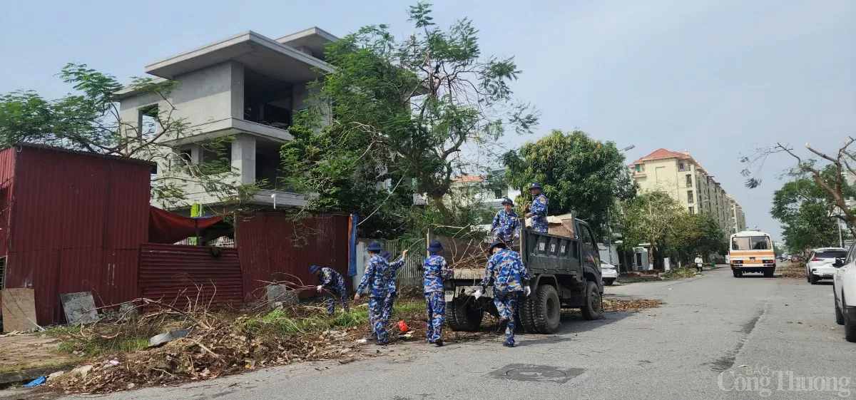 Hải Phòng hoàn thành trồng, dựng lại cây xanh bị gãy, đổ trên nhiều tuyến phố