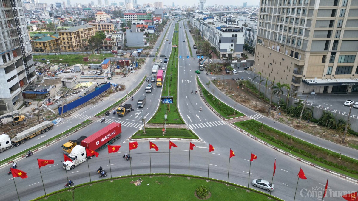 Hải Phòng hoàn thành trồng, dựng lại cây xanh bị gãy, đổ trên nhiều tuyến phố