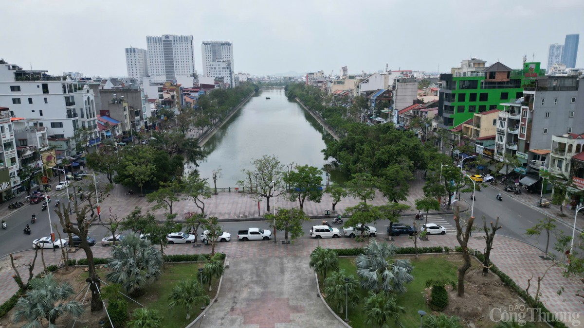 Hải Phòng hoàn thành trồng, dựng lại cây xanh bị gãy, đổ trên nhiều tuyến phố