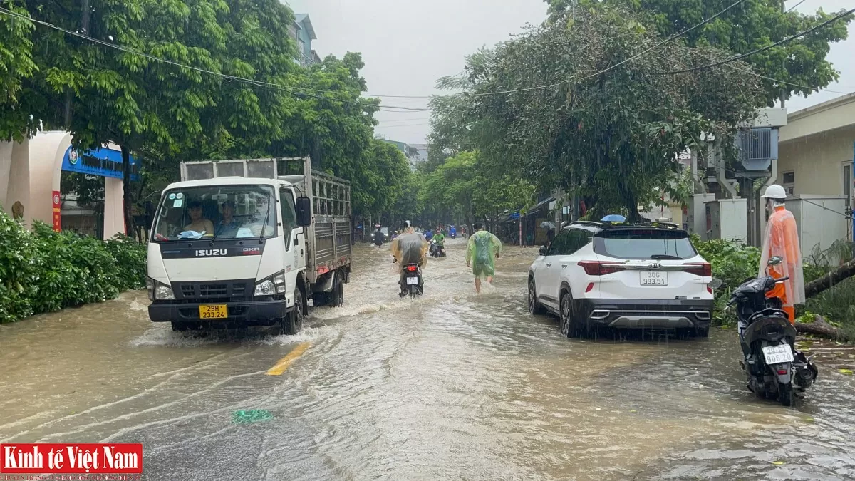 Chuyên gia bàn giải pháp 