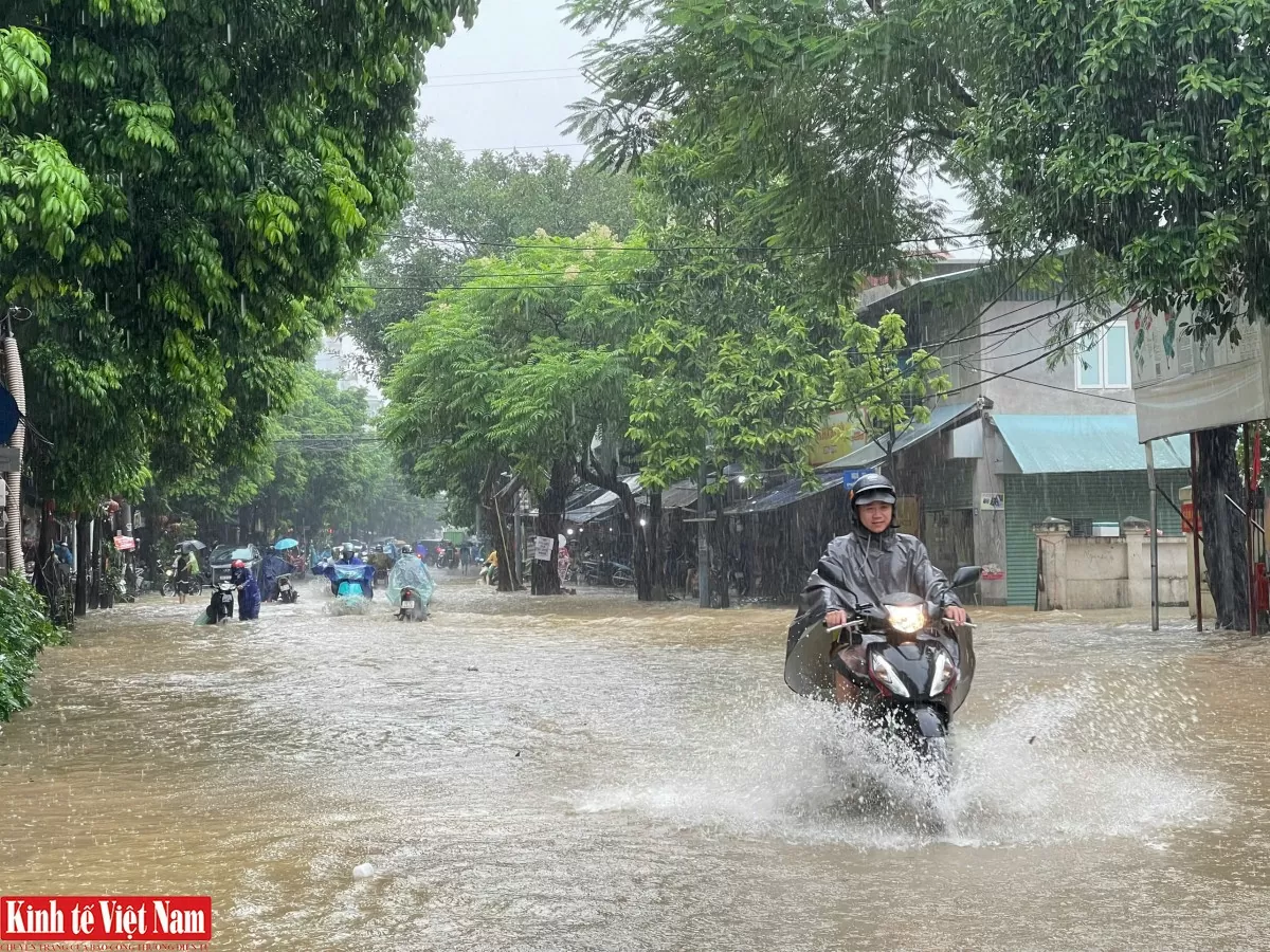 Chuyên gia bàn giải pháp 