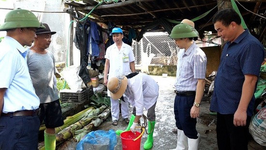 thanh hoa phong chong dich sau lu va ung pho voi ap thap nhiet doi co kha nang manh len thanh bao