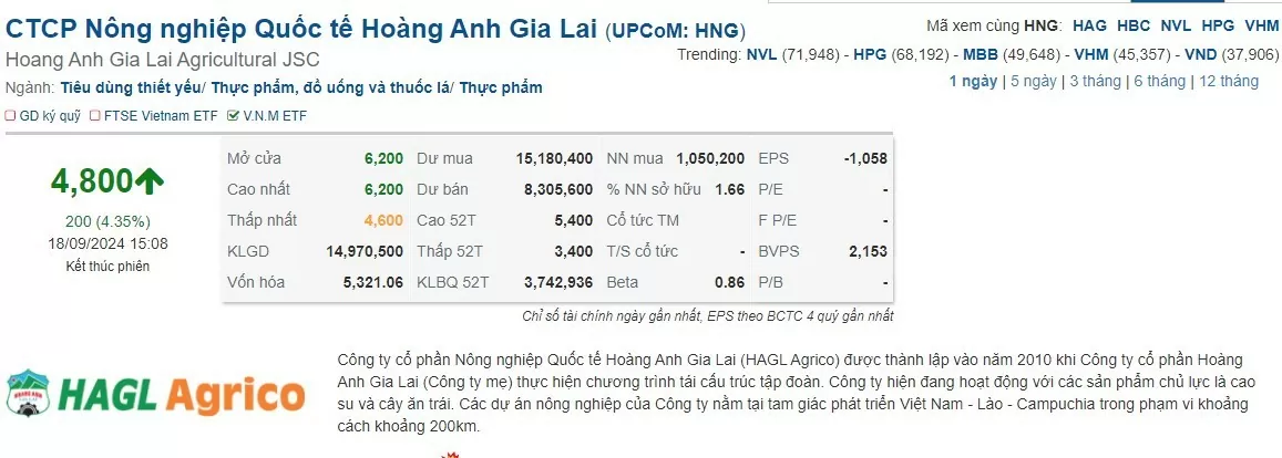 Ngày đầu quay lại niêm yết trên UPCoM, cổ phiếu HNG và HBC diễn biến ra sao?