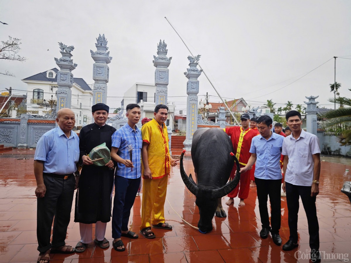 Hải Phòng: Lễ hội chọi trâu Đồ Sơn năm 2024 đậm nét truyền thống người miền biển