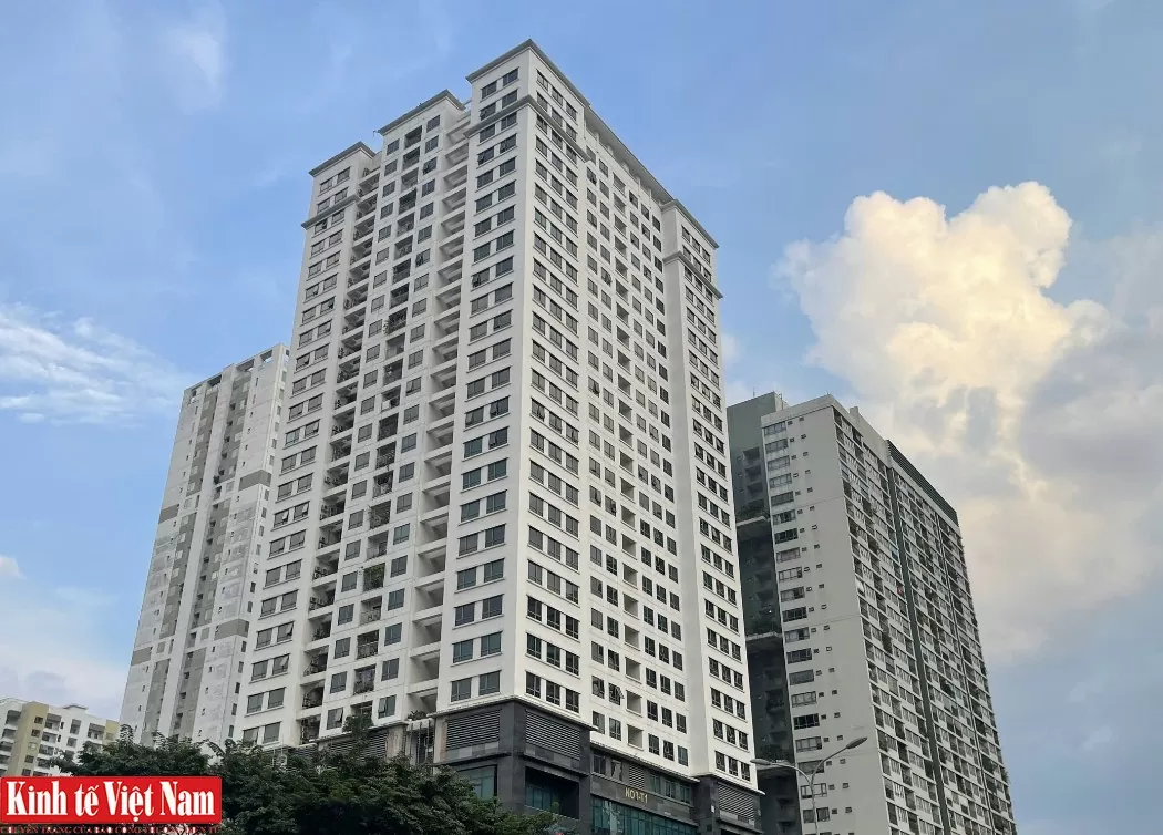 Hệ lụy tiềm ẩn từ việc đầu cơ, 