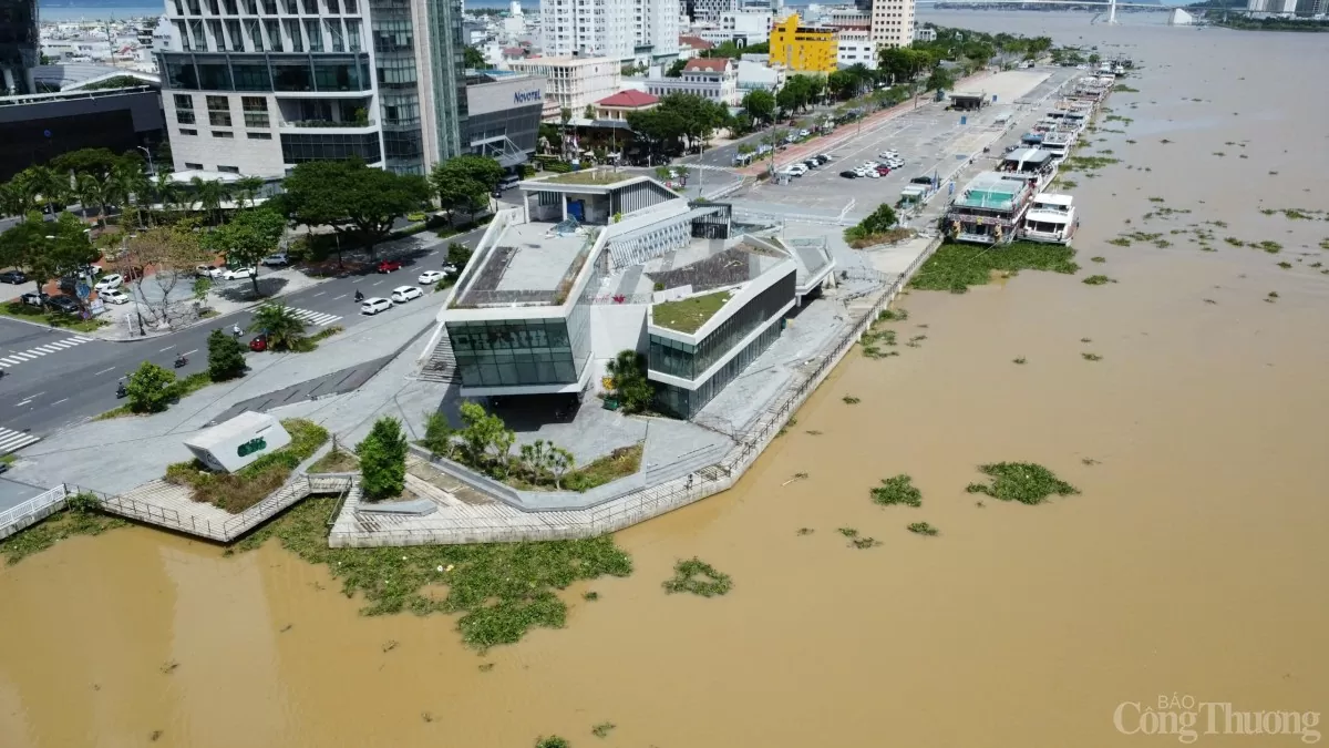 Rác, bèo tây dạt vào 2 bên bờ sông Hàn