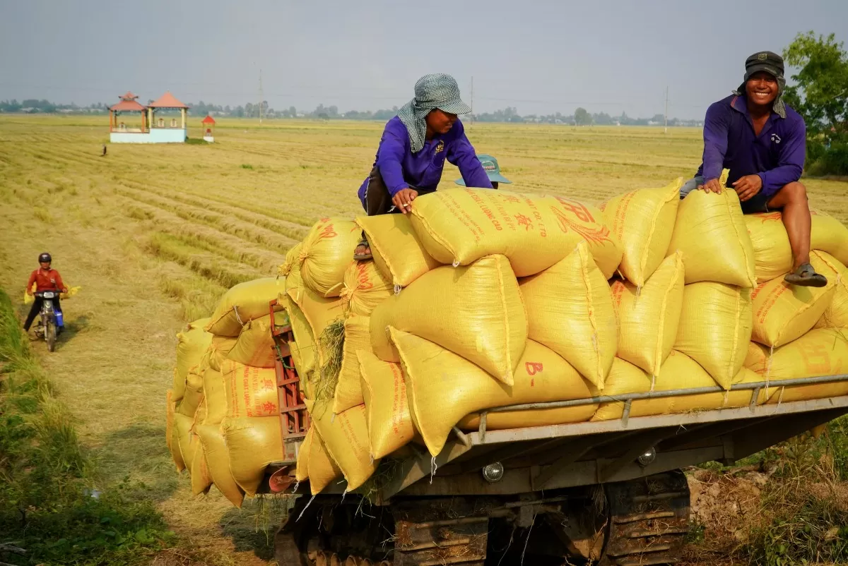 Thương mại Việt Nam - Cuba: Động lực tăng trưởng đến từ việc thực thi hiệu quả FTA