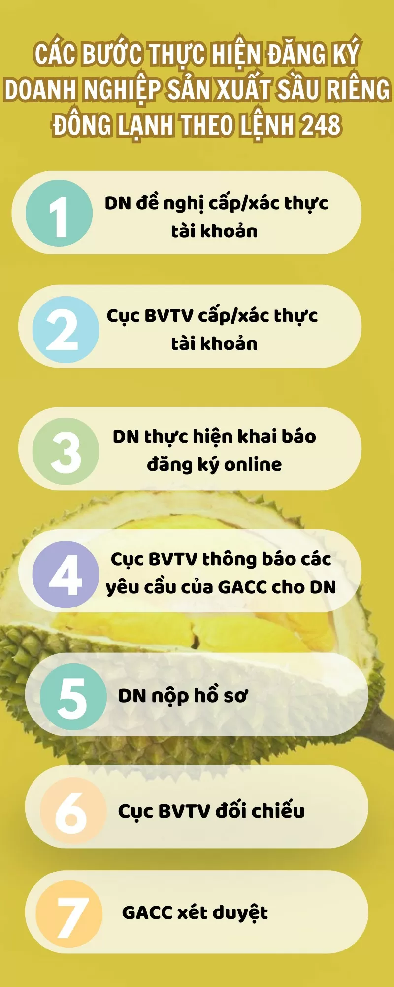 Infographic: Xuất khẩu sầu riêng đông lạnh Việt Nam có thể đạt 300 triệu USD năm 2024