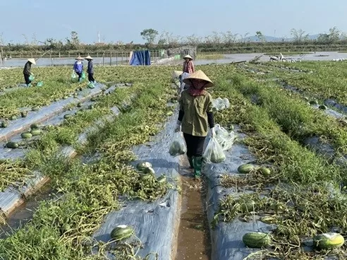 Đoàn Thanh niên Nhiệt điện Phả Lại xung kích, đóng góp tích cực cho sự phát triển của địa phương