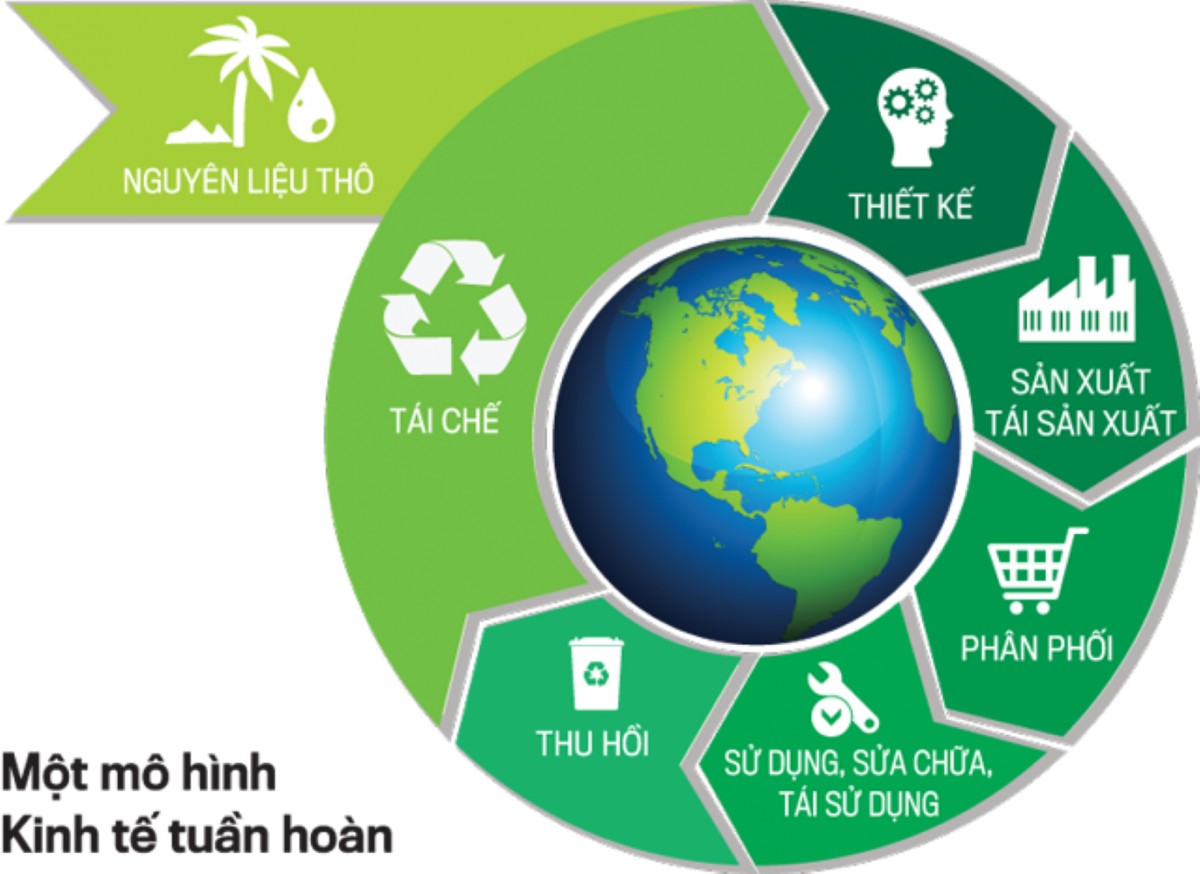 Kinh tế tuần hoàn