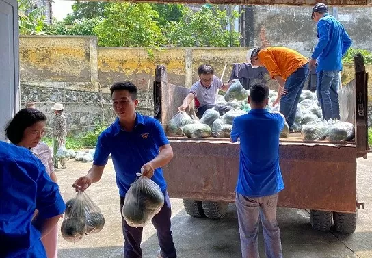 Công đoàn Nhiệt điện Phả Lại: Đa dạng giải pháp chăm lo cho người lao động