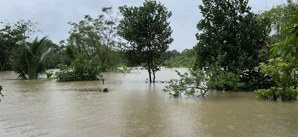 Thông tin mới nhất về thiệt hại do mưa lũ gây ra trên địa bàn tỉnh Thanh Hóa