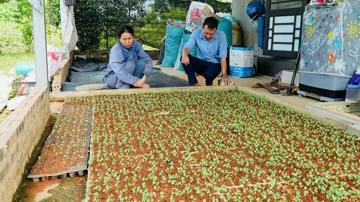 Bảo Thắng: Thiệt hại hơn 300 tỷ đồng, tập trung chăm lo đời sống đồng bào sau mưa bão