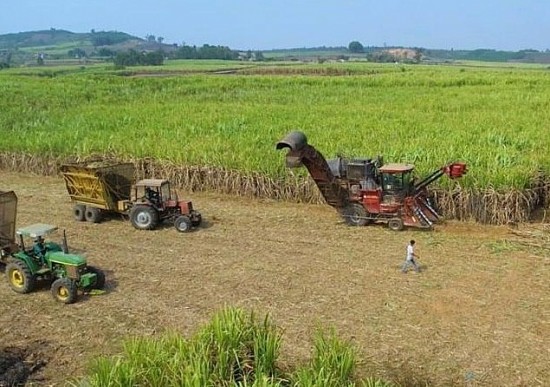 doi moi cong nghe trong san xuat mia duong de nang cao nang luc canh tranh