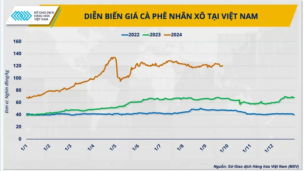 Hướng đi giúp cà phê Việt vững bước trên "hành trình giá’ mới