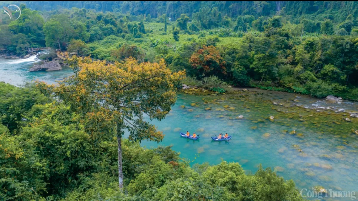 Đề cử Phong Nha - Kẻ Bàng thành Khu dự trữ sinh quyển thế giới