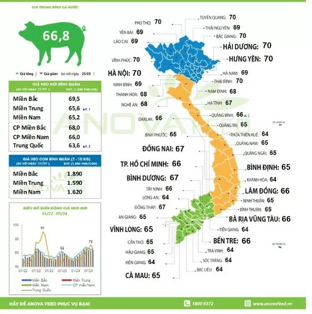 Giá heo hơi hôm nay 27/9/2024: