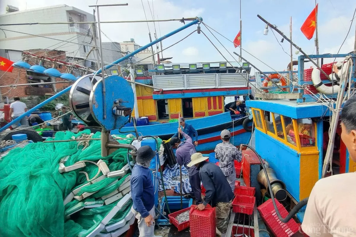 Tỉnh Quảng Ngãi tăng cường các biện pháp kiểm tra, kiểm soát để chống khai thác IUU