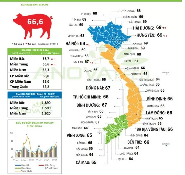 Giá heo hơi hôm nay 30/9/2024: