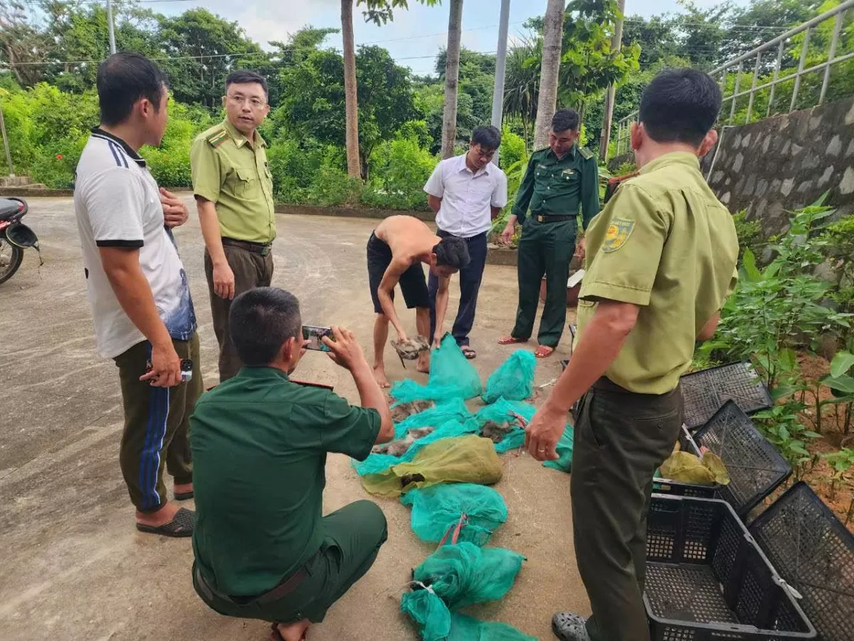 Bà Rịa - Vũng Tàu: Bắt quả tang đối tượng vận chuyển 17 cá thể động vật quý hiếm