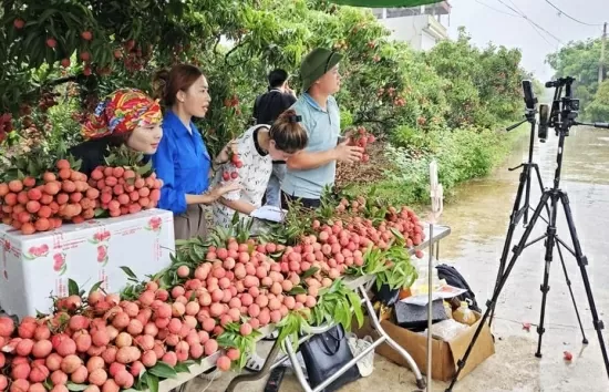 Bán hàng livestream: Giải pháp đột phá cho tiêu thụ nông sản Việt