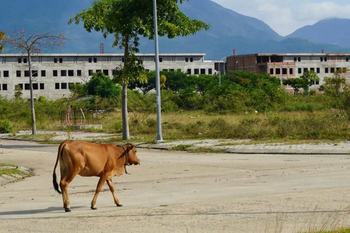 Bên trong Dự án Golden Hills City 4,4 nghìn tỷ đồng bị bỏ hoang ở Đà Nẵng