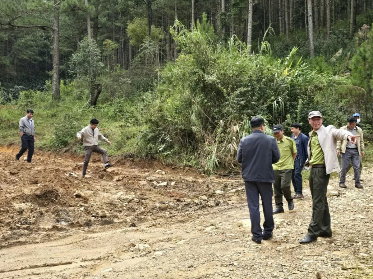 Cương quyết xử lý các vụ lấn chiếm đất lâm nghiệp làm nương rẫy tại TP. Đà Lạt