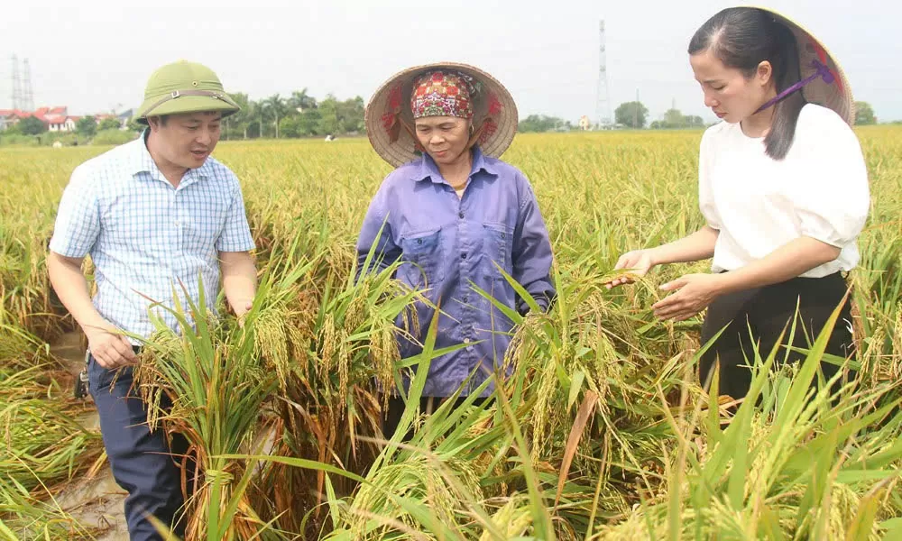 Bắc Giang: Khẩn trương phục hồi không để đứt gãy chuỗi sản xuất, cung ứng hàng hóa