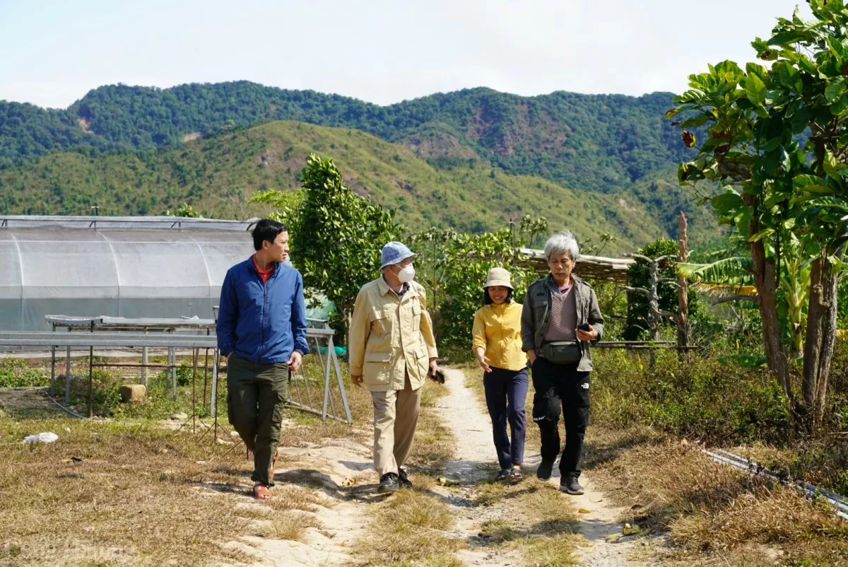 Độc đáo sản phẩm du lịch trải nghiệm hái cà phê tại đỉnh Trường Sơn