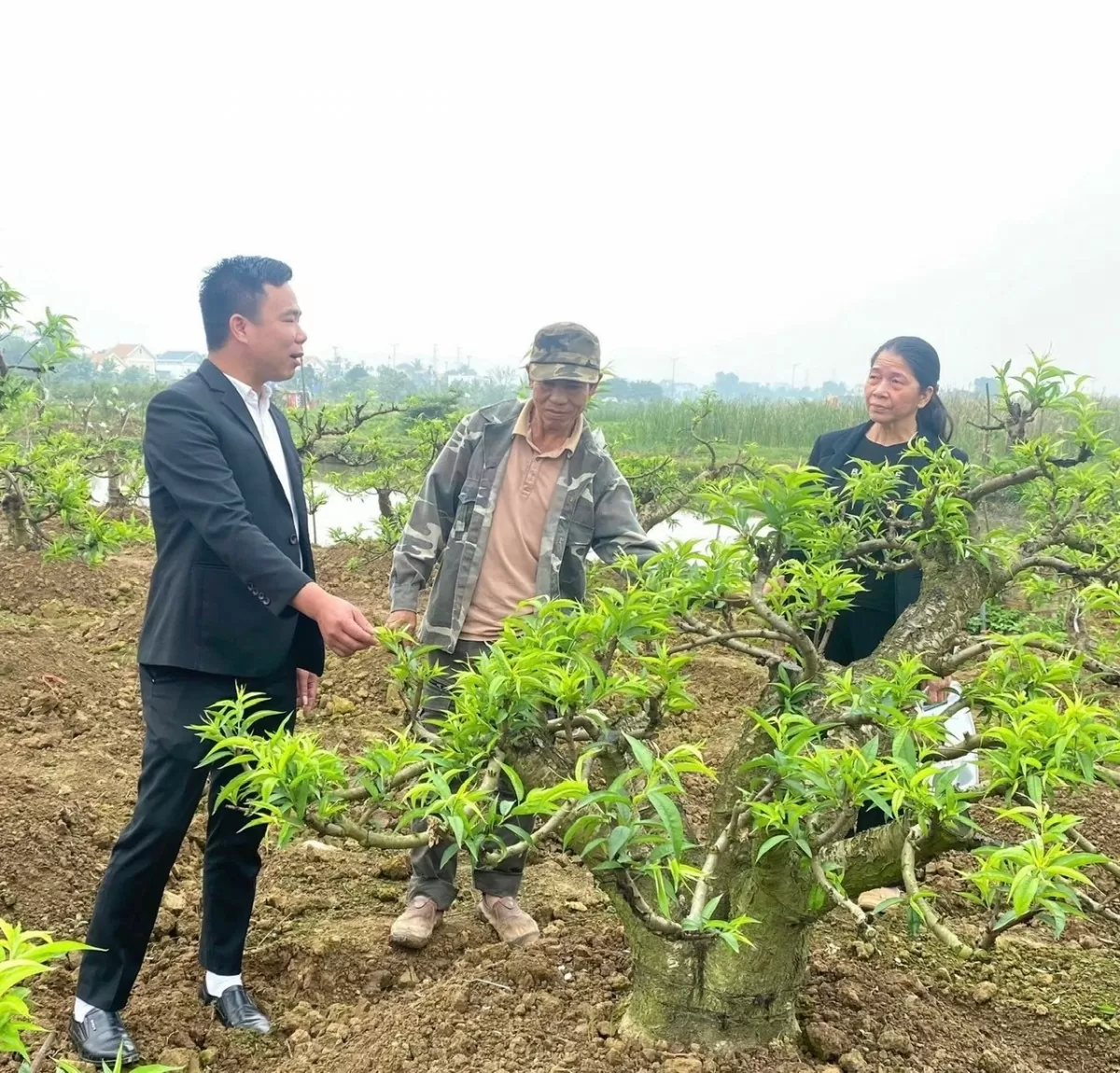 Ngân hàng Chính sách xã hội Chi nhánh Hải Phòng: Kịp thời giải ngân hỗ trợ người dân khôi phục sản xuất