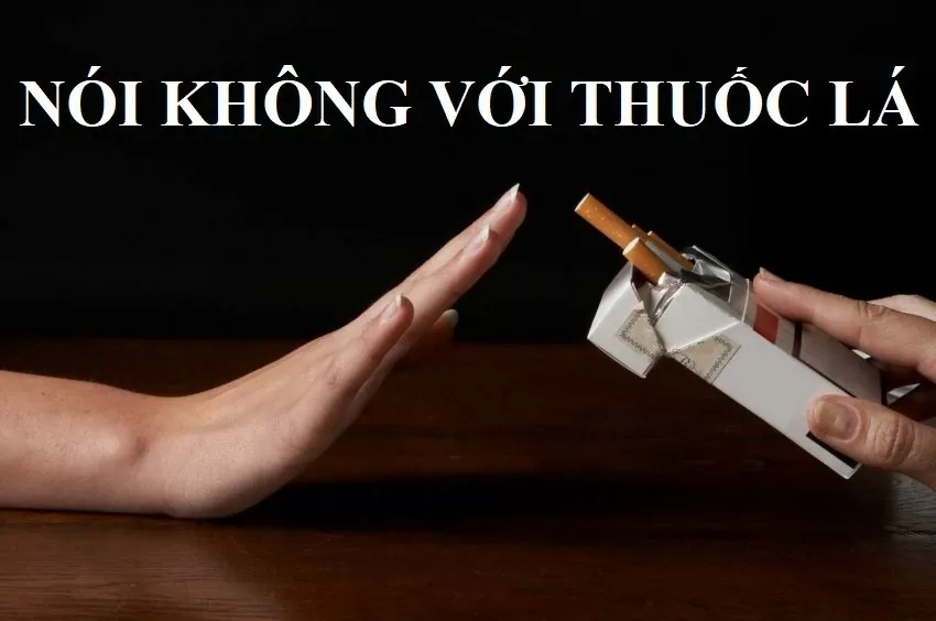 các đơn vị được giao nhiệm vụ tăng cường công tác tuyên truyền, vận động các tổ chức, cá nhân thực hiện nghiêm các quy định của pháp luật về phòng, chống tác hại thuốc lá