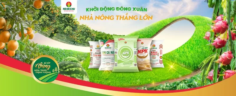 Phân Bón Cà Mau giải pháp dinh dưỡng toàn diện cho cây trồng