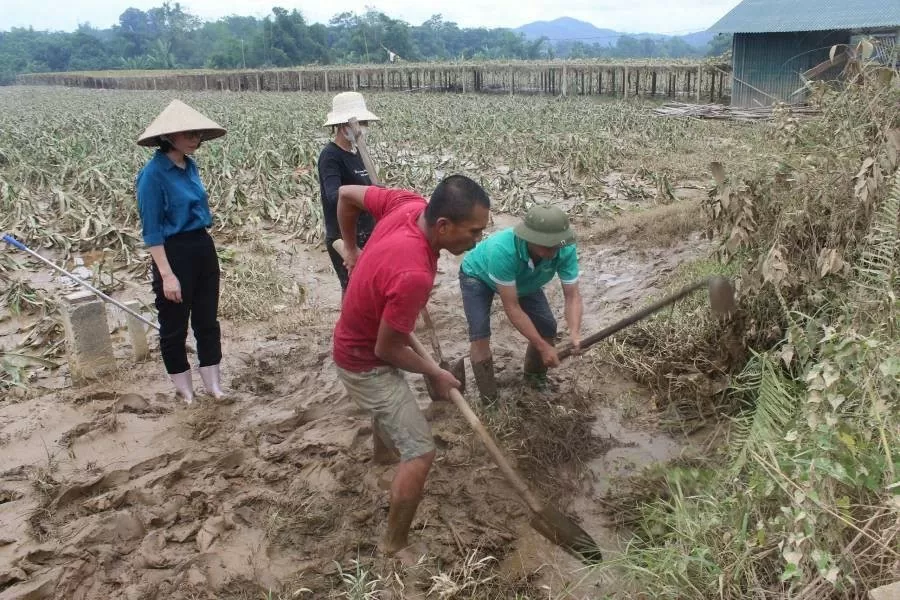 Bão số 3 ‘kéo giảm’ 182 lượt tiêu chí nông thôn mới trên địa bàn Lào Cai