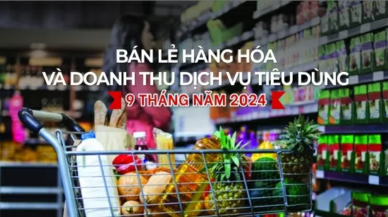 Infographic | Bán lẻ hàng hóa và doanh thu dịch vụ tiêu dùng 9 tháng năm 2024