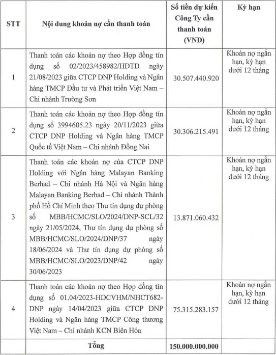 Công ty DNP Holding dự kiến dùng số vốn huy động được từ trái phiếu để trả nợ ngân hàng. Ảnh chụp màn hình