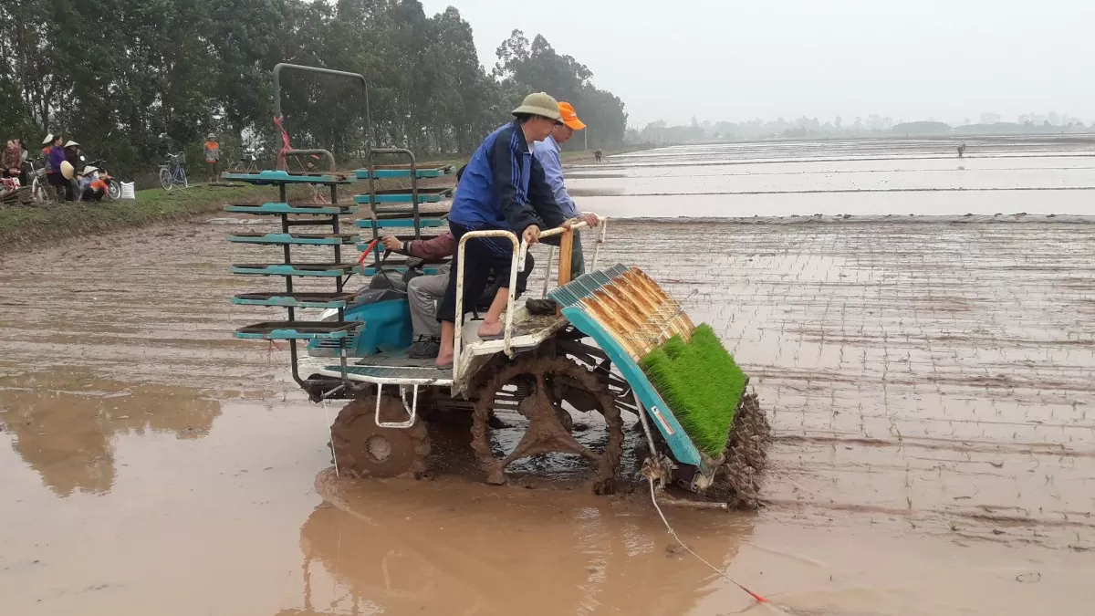 Sản xuất nông nghiệp Thủ đô: Hiệu quả cao nhờ ứng dụng công nghệ hiện đại