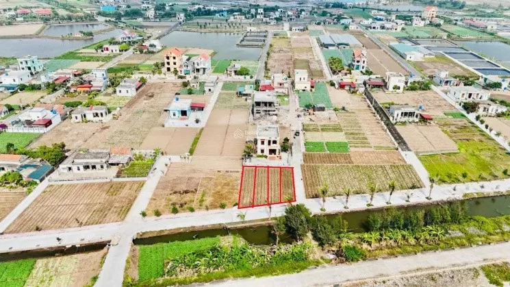 Luật Đất đai 2024 quy định giao đất cho các dự án đầu tư ra sao?