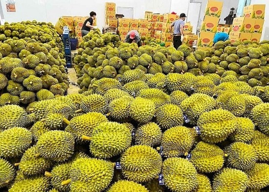xuat khau rau qua ghi nhan ky luc moi