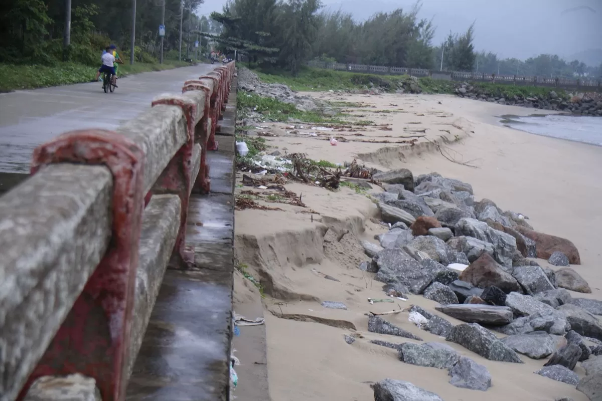 Thậm chí có đoạn, xâm thực đã ăn sâu vào đến tận tuyến tuyến đê kè phường Hòa Hiệp Bắc