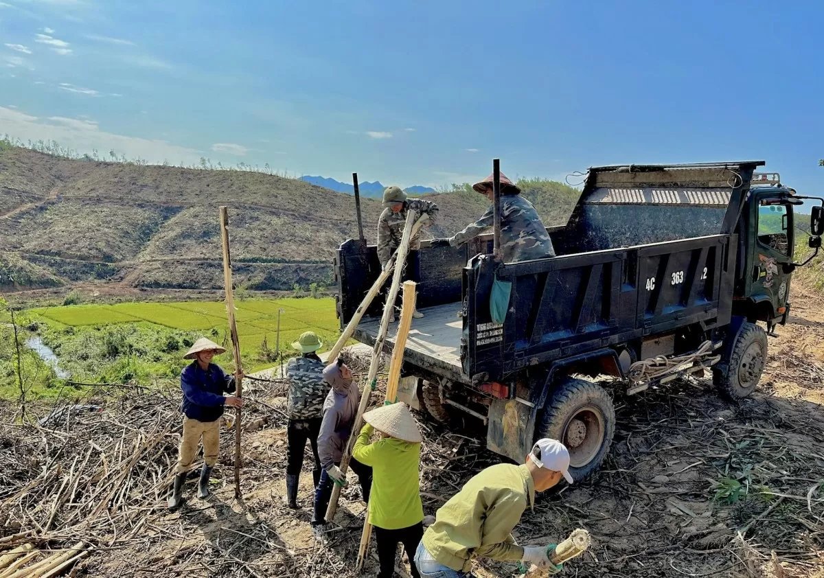 Quảng Ninh: Quyết tâm khôi phục, bảo vệ và phát triển rừng bền vững