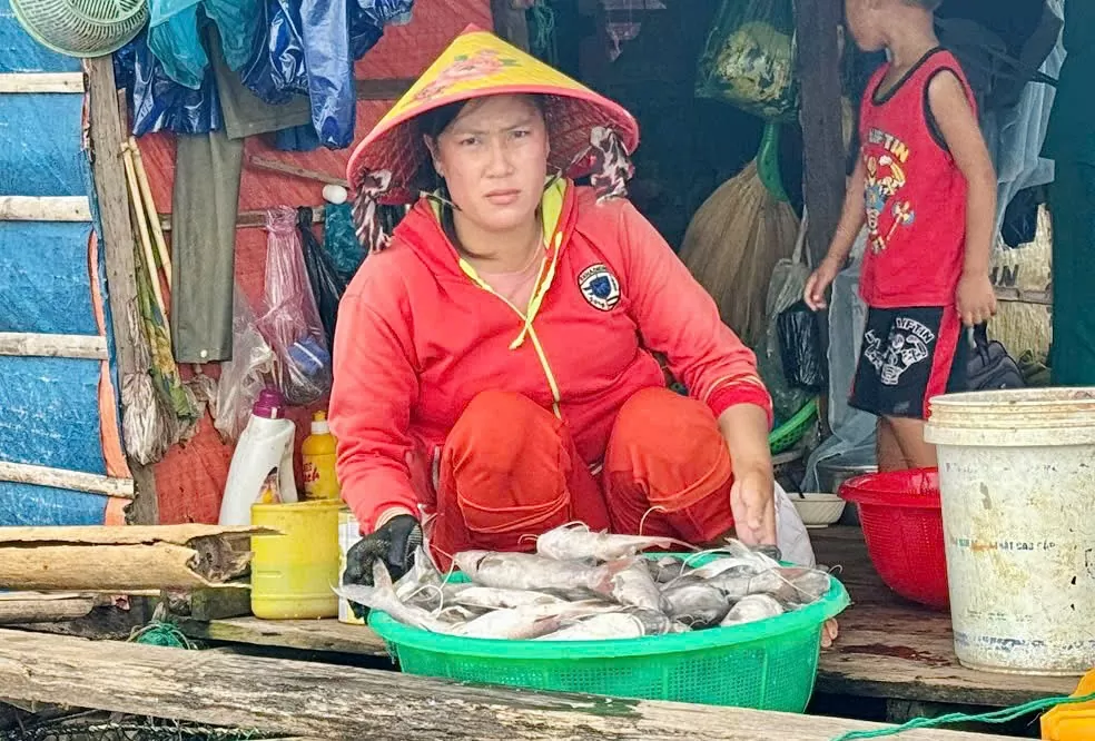 Gia Lai: Người dân ngậm ngùi nhìn cá chết la liệt kín mặt hồ