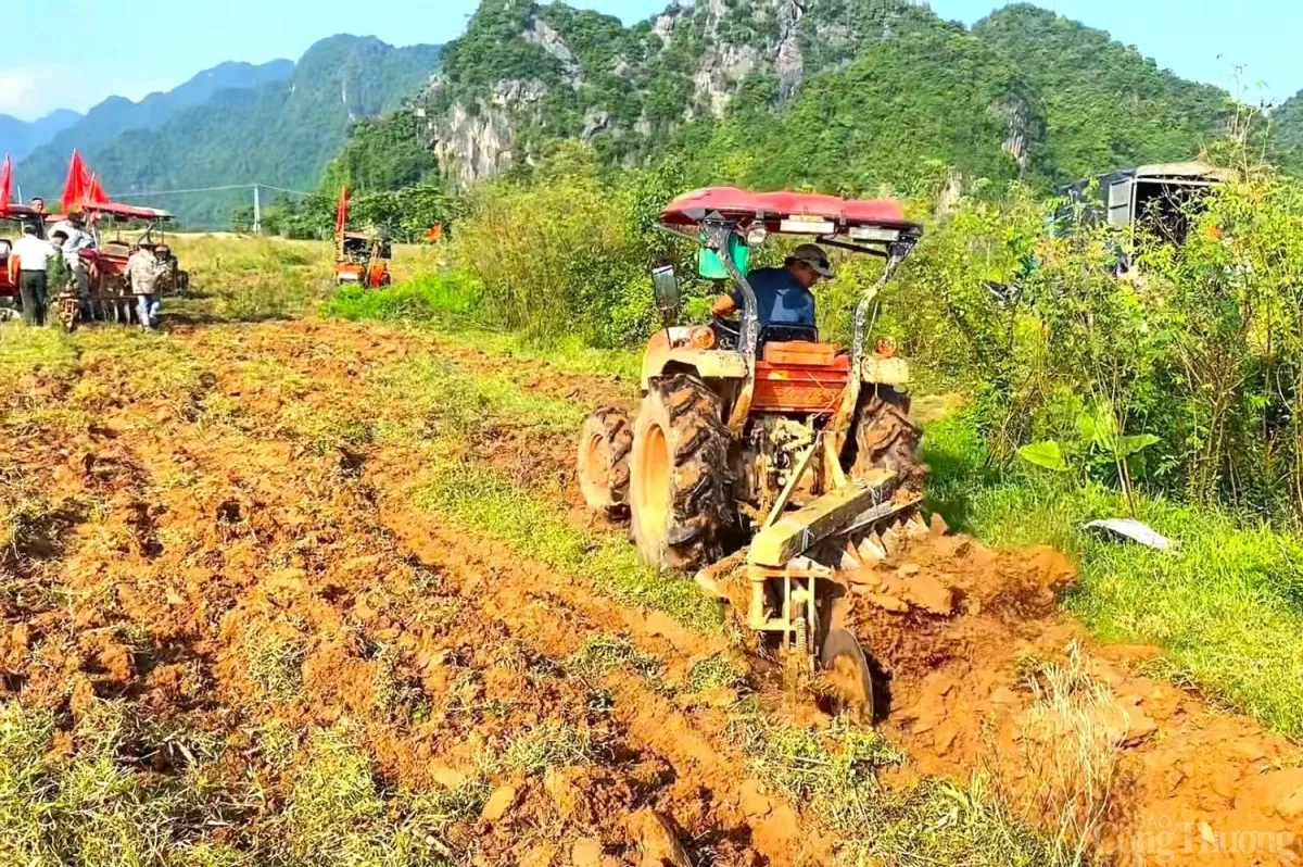 Quảng Bình: Nông dân vùng di sản Phong Nha tổ chức 'đua máy cày'