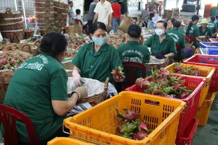 EU thay đổi quy định kiểm dịch động thực vật, an toàn thực phẩm đối với hàng nhập khẩu