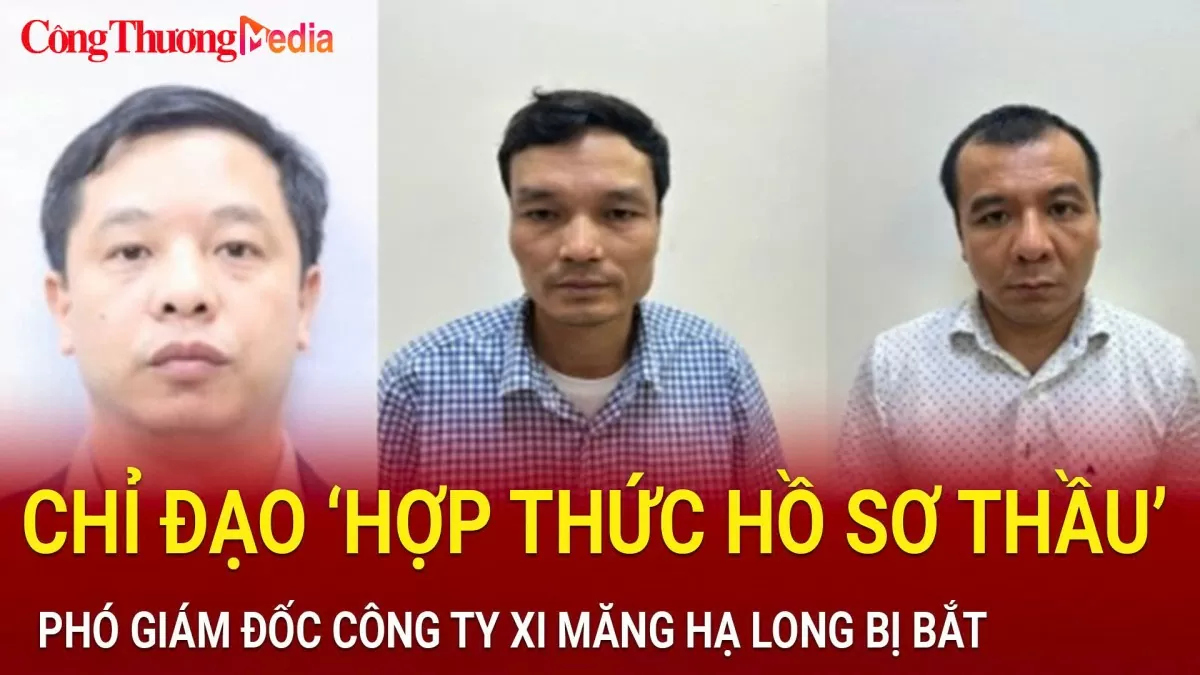 Chỉ đạo ‘hợp thức hồ sơ thầu’, phó Giám đốc Công ty xi măng Hạ Long bị bắt