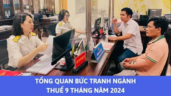 Infographics | Tổng quan bức tranh ngành thuế 9 tháng năm 2024