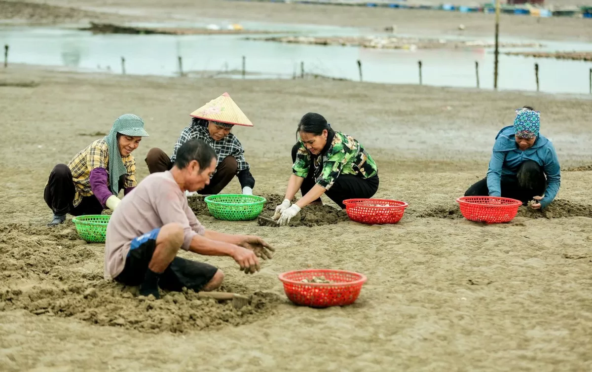 nông dân nguyễn thị biên